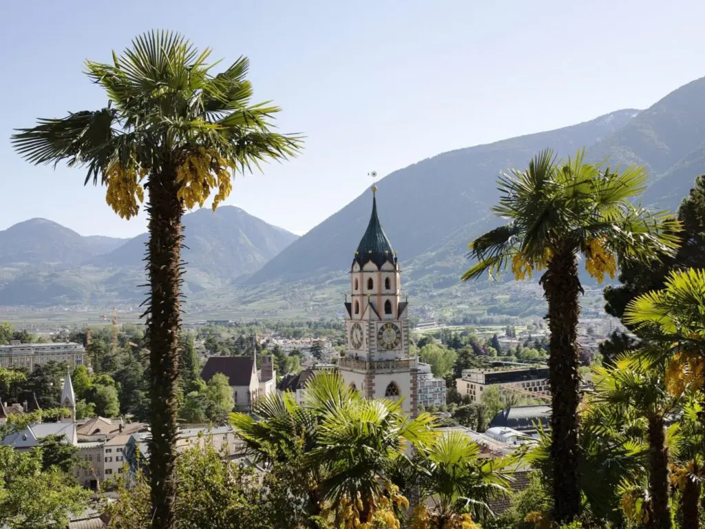 Merano: Palm trees in front of St. Nicholas Church with a view over the city and mountains – Mediterranean-Alpine flair.